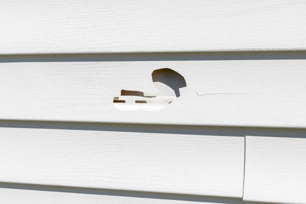 Best Stone Veneer Siding  in Kingsley, MI